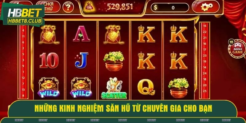 Những kinh nghiệm săn hũ từ chuyên gia cho bạn