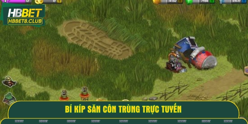 Bí kíp săn côn trùng trực tuyến cho hội viên