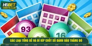 Các loại tổng đề