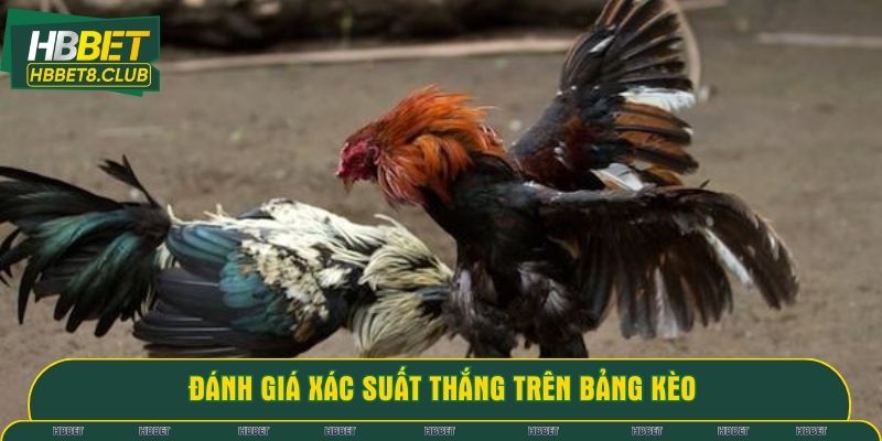 Đánh giá xác suất thắng trên bảng kèo