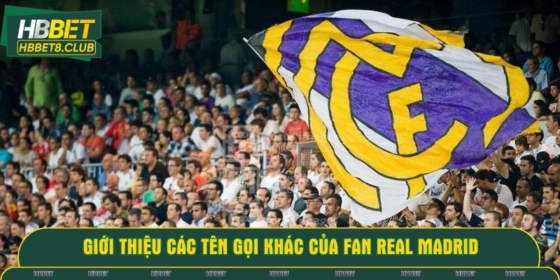 Giới thiệu các tên gọi khác của fan Real Madrid