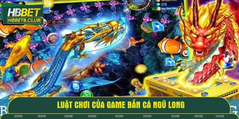 Luật chơi cơ bản của săn cá ngũ long