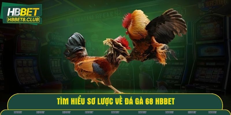 Tìm hiểu sơ lược về đá gà 68 HBBET